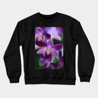 purple orchid Crewneck Sweatshirt